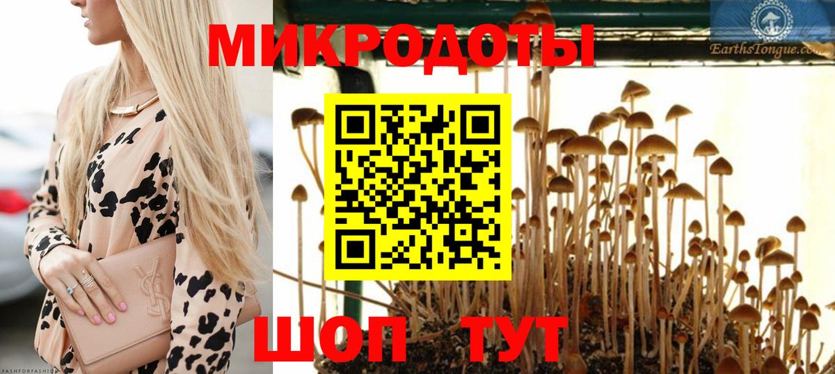 Галлюциногенные грибы Cubensis Котовск