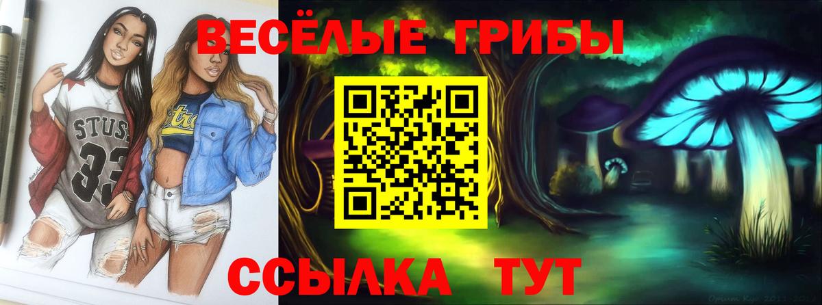Галлюциногенные грибы GOLDEN TEACHER  как найти наркотики  Котовск  Вход с VPN  Псилоцибиновые грибы ЛСД 
